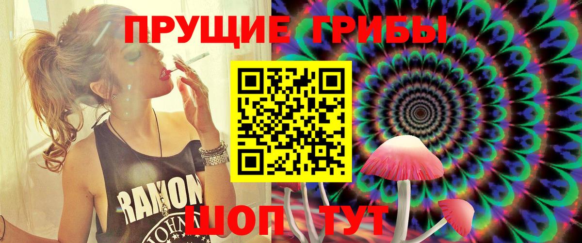 Псилоцибиновые грибы Cubensis Воркута