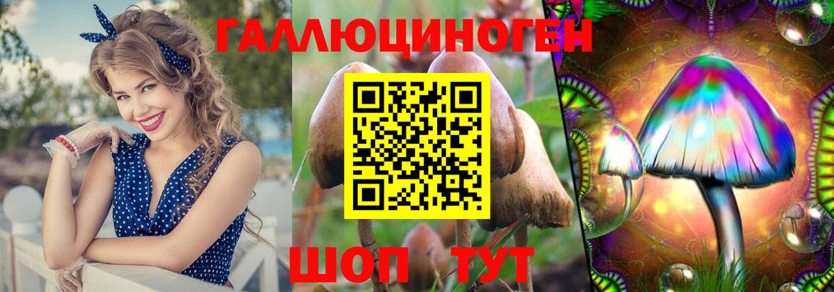 Галлюциногенные грибы Psilocybine cubensis  Вход с VPN  Воркута 